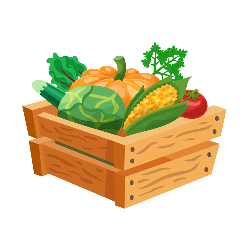Fruit Basket